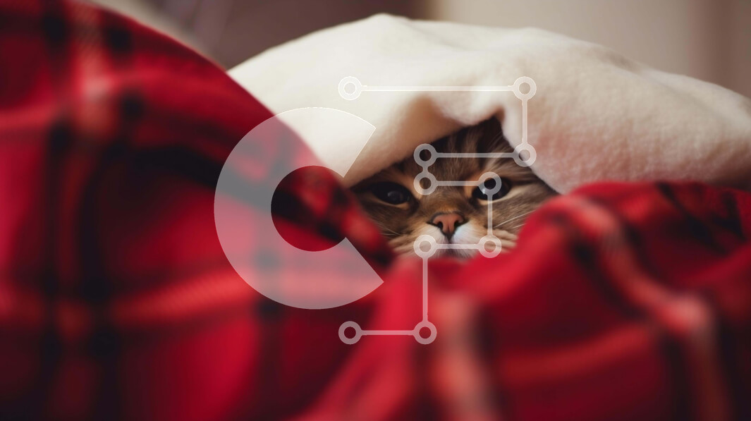 Σετ των 2 Intra Συλλεκτικό Ξύλινο Παζλ Plywood  4mm - Περίεργη γάτα που κρύβεται κάτω από μια κόκκινη και άσπρη κουβέρτα Σε Ξύλινο Κουτί - Διαστάσεις: 10x10 cm – 25 κομμάτια