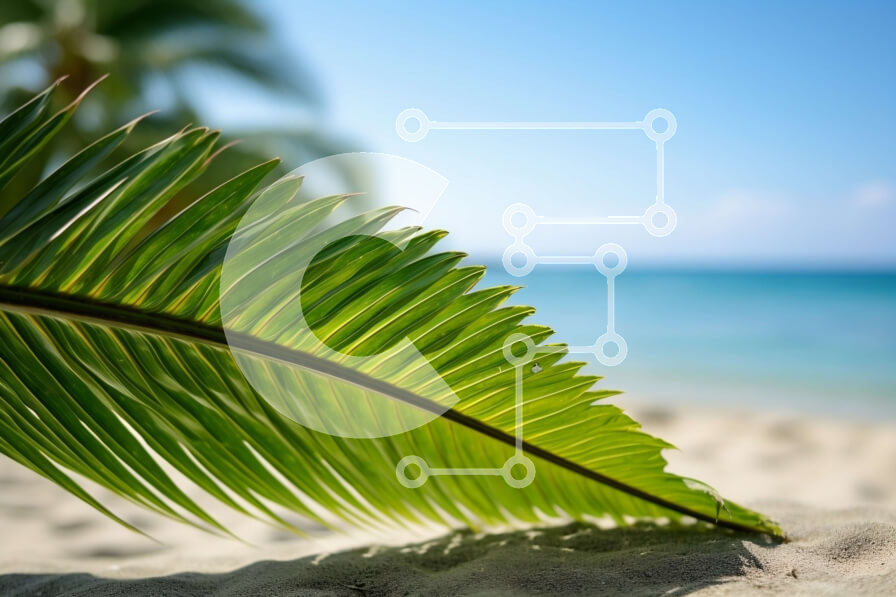 Intra Συλλεκτικό Ξύλινο Παζλ Plywood  4mm - Πράσινο Φοίνικας στην αμμώδη παραλία με καθαρό μπλε ουρανό και ωκεανό Σε Ξύλινο Κουτί - Διαστάσεις: 10x10 cm – 25 κομμάτια