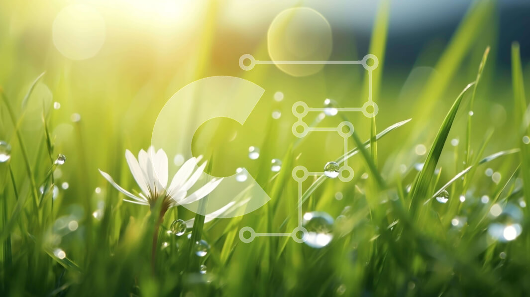 Intra Συλλεκτικό Ξύλινο Παζλ Plywood  4mm - Λευκό λουλούδι σε πράσινο γρασίδι με δροσοσταλίδες Σε Ξύλινο Κουτί - Διαστάσεις: 10x10 cm – 25 κομμάτια