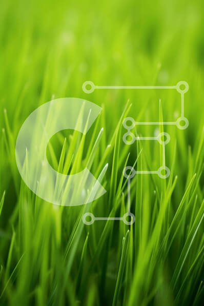 Σετ των 2 Intra Συλλεκτικό Ξύλινο Παζλ Plywood  4mm - Κοντινό πλάνο της πλούσιας πράσινης χλόης Σε Ξύλινο Κουτί - Διαστάσεις: 10x10 cm – 25 κομμάτια