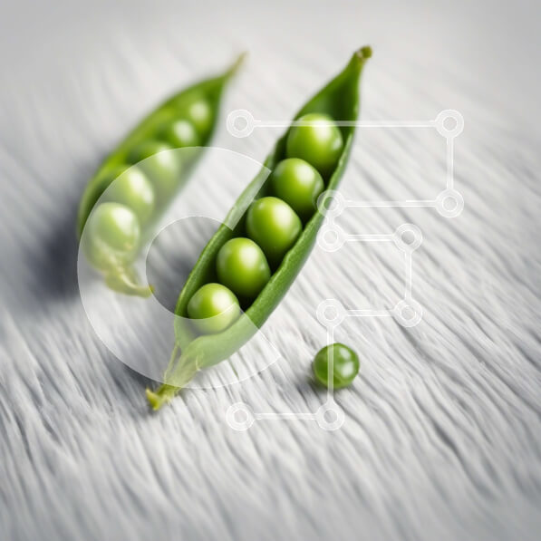 Σετ των 2 Intra Συλλεκτικό Ξύλινο Παζλ Plywood  4mm - Δύο πράσινα μπιζέλια σε μια λευκή επιφάνεια Σε Ξύλινο Κουτί - Διαστάσεις: 10x10 cm – 25 κομμάτια