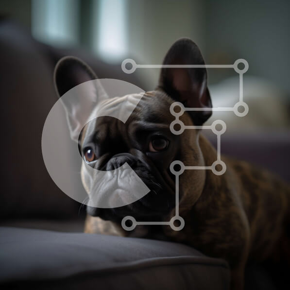 Intra Συλλεκτικό Ξύλινο Παζλ Plywood  4mm - Αξιολάτρευτη εικόνα ενός καφέ γαλλικού μπουλντόγκ που κάθεται σε έναν καναπέ Σε Ξύλινο Κουτί - Διαστάσεις: 10x10 cm – 25 κομμάτια