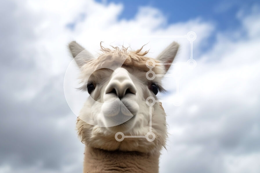 Σετ των 2 Intra Συλλεκτικό Ξύλινο Παζλ Plywood  4mm - Κοντινό πλάνο του προσώπου του Alpaca με τα σύννεφα στο φόντο Σε Ξύλινο Κουτί - Διαστάσεις: 10x10 cm – 25 κομμάτια