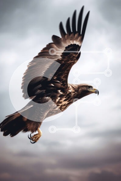 Σετ των 2 Intra Συλλεκτικό Ξύλινο Παζλ Plywood  4mm - Εκπληκτική εικόνα ενός μεγαλοπρεπούς αετού που πετά με ανοιχτά φτερά Σε Ξύλινο Κουτί - Διαστάσεις: 10x10 cm – 25 κομμάτια