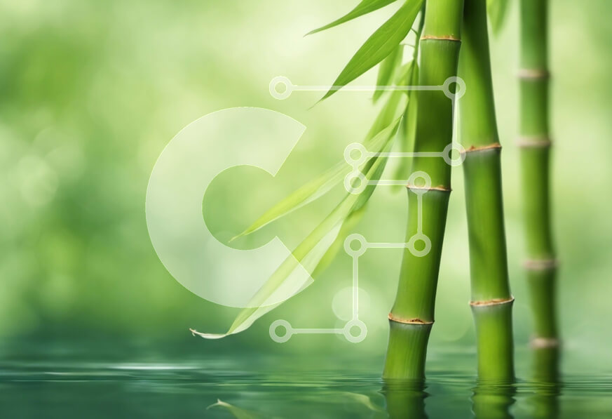 Intra Συλλεκτικό Ξύλινο Παζλ Plywood  4mm - Μίσχος μπαμπού σε καθαρό νερό Σε Ξύλινο Κουτί - Διαστάσεις: 10x10 cm – 25 κομμάτια