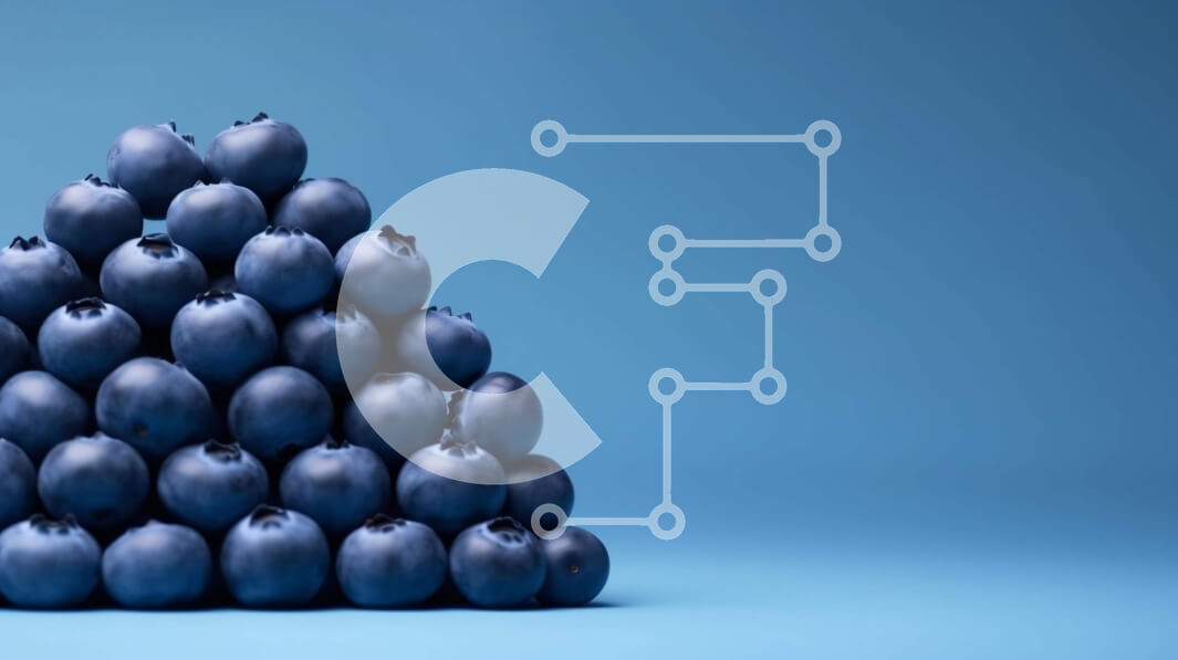 Σετ των 2 Intra Συλλεκτικό Ξύλινο Παζλ Plywood  4mm - Blueberry Pyramid - Διακοσμητική επίδειξη φρέσκων βατόμουρων Σε Ξύλινο Κουτί - Διαστάσεις: 10x10 cm – 25 κομμάτια