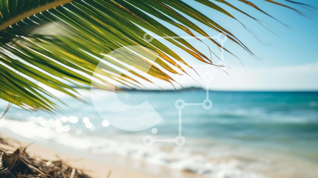 Intra Συλλεκτικό Ξύλινο Παζλ Plywood  4mm - Φύλλο φοίνικα στην παραλία με τον ωκεανό στο φόντο Σε Ξύλινο Κουτί - Διαστάσεις: 10x10 cm – 25 κομμάτια