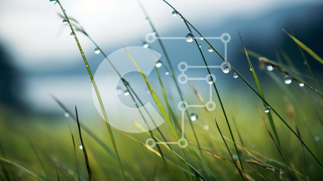 Intra Συλλεκτικό Ξύλινο Παζλ Plywood  4mm - Κοντινό πλάνο Dewy Grass με γραφική θέα στη λίμνη και στο βουνό Σε Ξύλινο Κουτί - Διαστάσεις: 10x10 cm – 25 κομμάτια