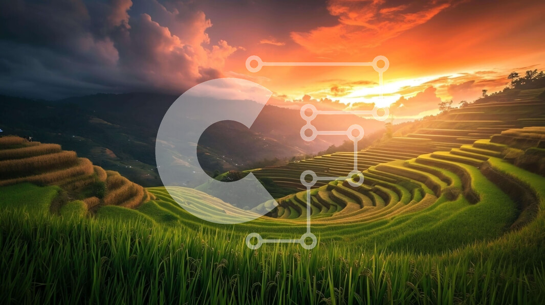 Intra Συλλεκτικό Ξύλινο Παζλ Plywood  4mm - Ηλιοβασίλεμα πάνω από ορυζώνες Σε Ξύλινο Κουτί - Διαστάσεις: 10x10 cm – 25 κομμάτια