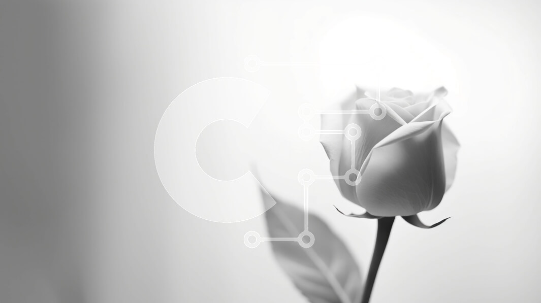 Intra Συλλεκτικό Ξύλινο Παζλ Plywood  4mm - Μονό λευκό τριαντάφυλλο σε ασπρόμαυρο φόντο Σε Ξύλινο Κουτί - Διαστάσεις: 10x10 cm – 25 κομμάτια