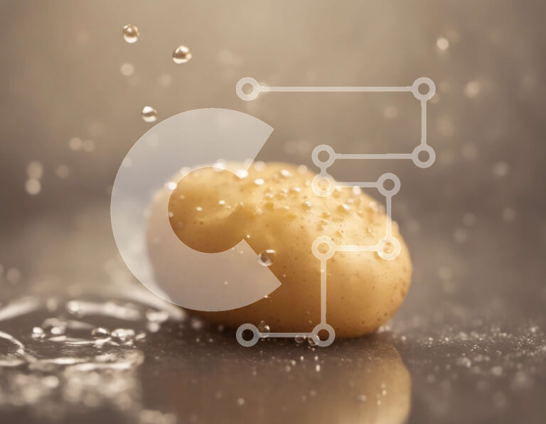 Σετ των 2 Intra Συλλεκτικό Ξύλινο Παζλ Plywood  4mm - Πατάτα καλυμμένη με σταγονίδια νερού Σε Ξύλινο Κουτί - Διαστάσεις: 10x10 cm – 25 κομμάτια