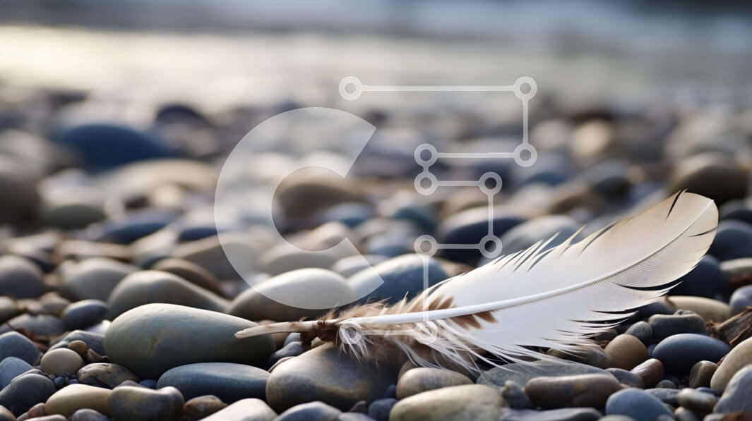 Intra Συλλεκτικό Ξύλινο Παζλ Plywood  4mm - Λευκό φτερό σε βράχους και βότσαλα Σε Ξύλινο Κουτί - Διαστάσεις: 10x10 cm – 25 κομμάτια