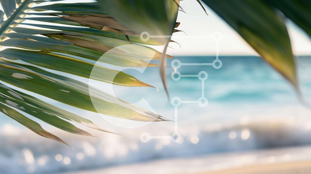 Intra Συλλεκτικό Ξύλινο Παζλ Plywood  4mm - Φύλλο φοίνικα στην παραλία με τα κύματα Σε Ξύλινο Κουτί - Διαστάσεις: 10x10 cm – 25 κομμάτια