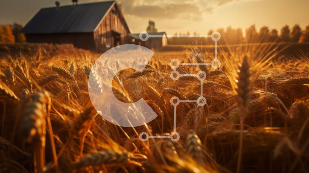 Intra Συλλεκτικό Ξύλινο Παζλ Plywood  4mm - Όμορφη εικόνα μιας σιταποθήκης σε ένα χωράφι με σιτάρι στο ηλιοβασίλεμα Σε Ξύλινο Κουτί - Διαστάσεις: 10x10 cm – 25 κομμάτια