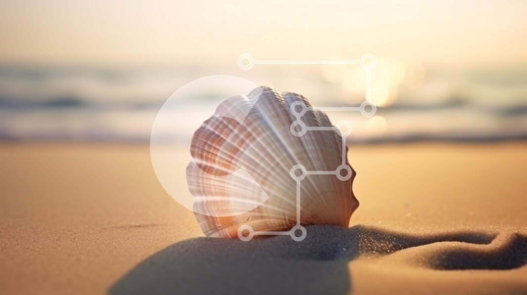 Intra Συλλεκτικό Ξύλινο Παζλ Plywood  4mm - Κοχύλι στην άμμο στην παραλία με ένα ηλιοβασίλεμα Σε Ξύλινο Κουτί - Διαστάσεις: 10x10 cm – 25 κομμάτια