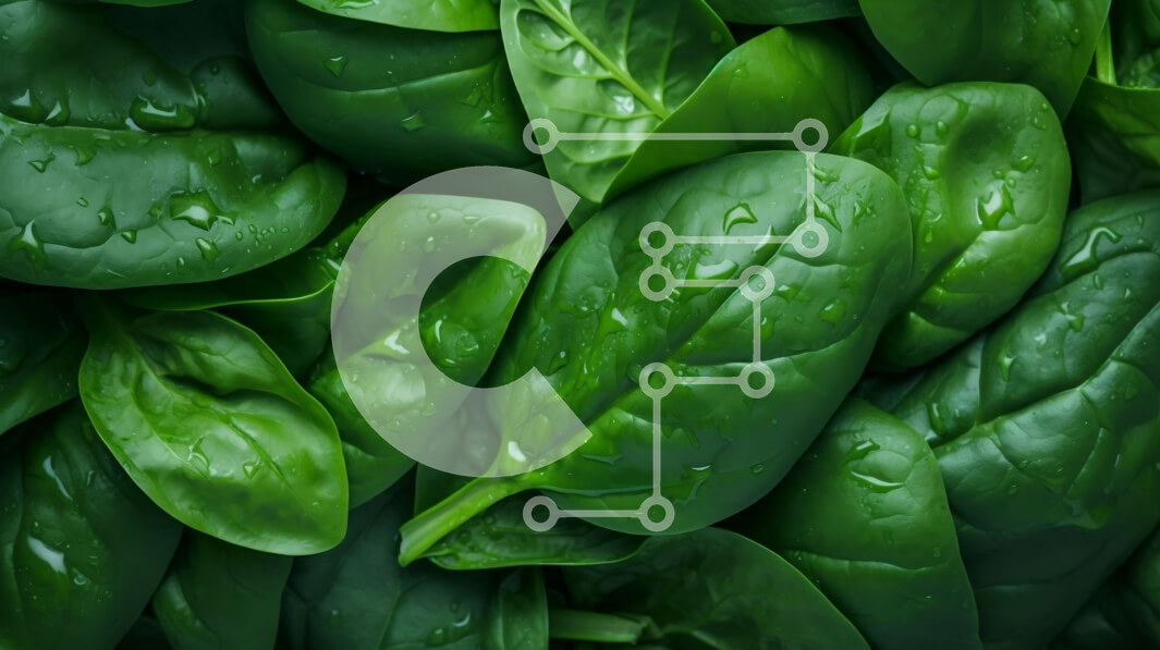 Σετ των 2 Intra Συλλεκτικό Ξύλινο Παζλ Plywood  4mm - Φύλλα φρέσκου σπανακιού με σταγόνες νερού Σε Ξύλινο Κουτί - Διαστάσεις: 10x10 cm – 25 κομμάτια