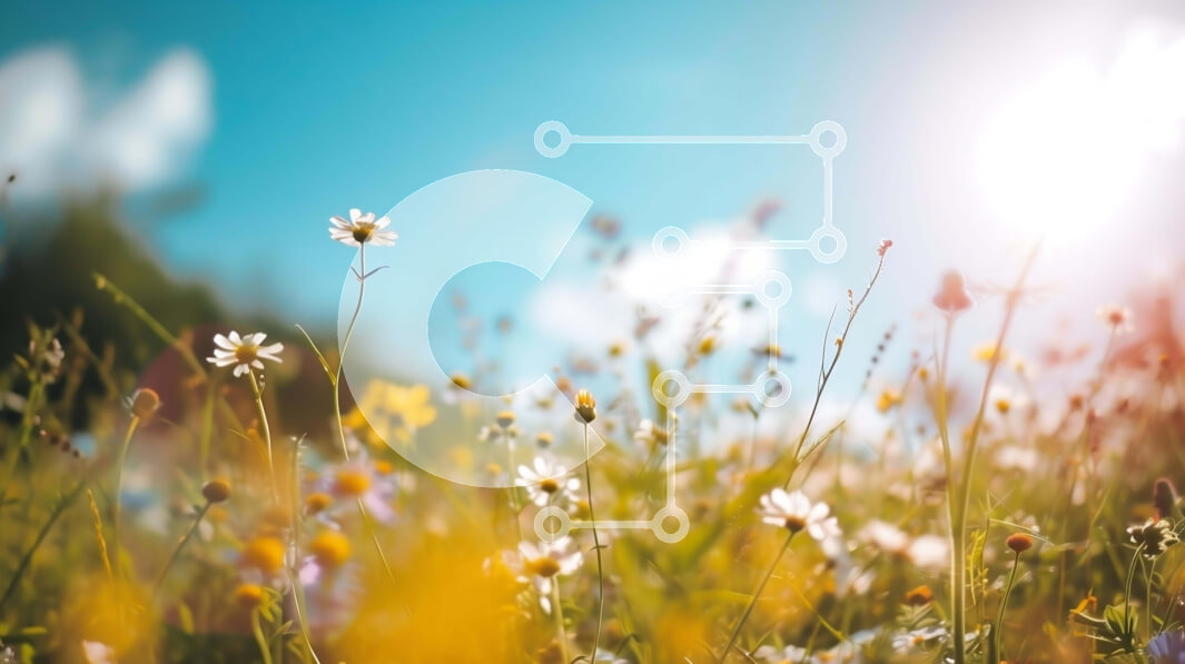 Intra Συλλεκτικό Ξύλινο Παζλ Plywood  4mm - Ζωντανό λιβάδι λουλουδιών με έντονο φως του ήλιου Σε Ξύλινο Κουτί - Διαστάσεις: 10x10 cm – 25 κομμάτια