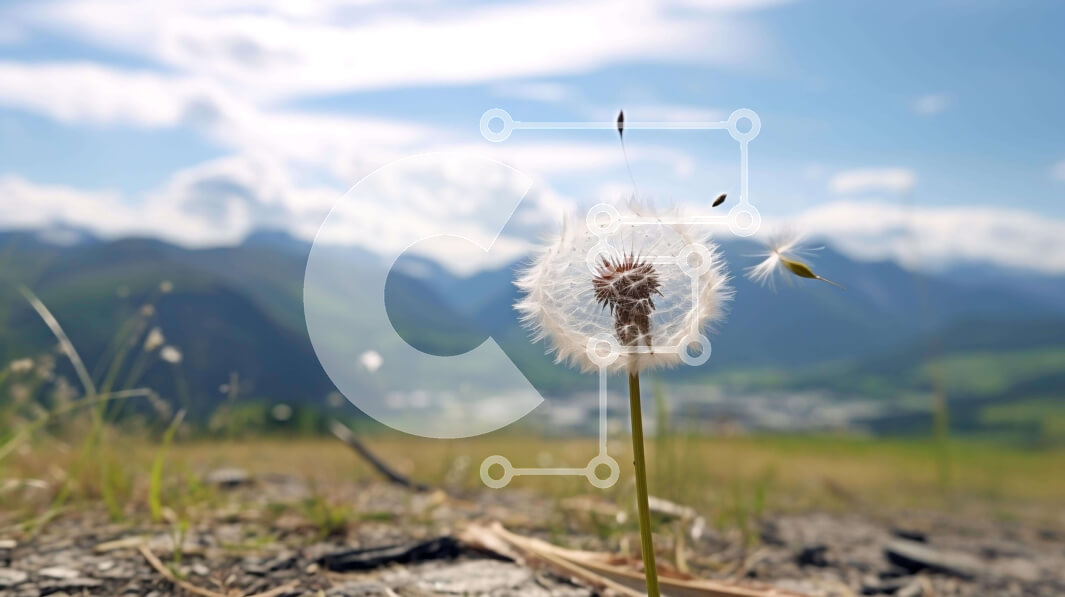 Intra Συλλεκτικό Ξύλινο Παζλ Plywood  4mm - Μονό λουλούδι πικραλίδας σε χορταριασμένο χωράφι με βουνά και σύννεφα Σε Ξύλινο Κουτί - Διαστάσεις: 10x10 cm – 25 κομμάτια