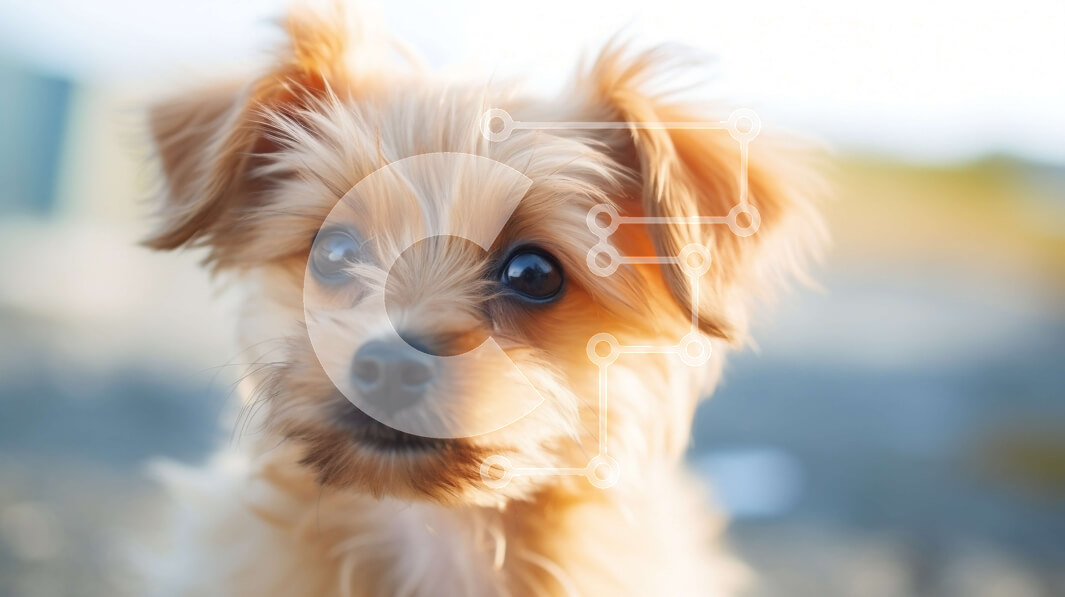 Intra Συλλεκτικό Ξύλινο Παζλ Plywood  4mm - Μικρό καφέ σκυλί με χνουδωτό τρίχωμα και περίεργη έκφραση Σε Ξύλινο Κουτί - Διαστάσεις: 10x10 cm – 25 κομμάτια