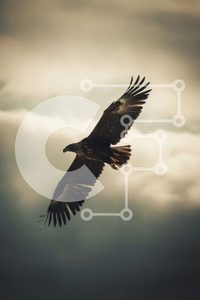 Σετ των 2 Intra Συλλεκτικό Ξύλινο Παζλ Plywood  4mm - Ασπρόμαυρη εικόνα ενός αετού σε πτήση Σε Ξύλινο Κουτί - Διαστάσεις: 10x10 cm – 25 κομμάτια