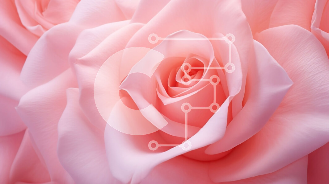 Intra Συλλεκτικό Ξύλινο Παζλ Plywood  4mm - Όμορφη κινηματογράφηση σε πρώτο πλάνο ενός ροζ τριαντάφυλλου σε πλήρη άνθιση Σε Ξύλινο Κουτί - Διαστάσεις: 10x10 cm – 25 κομμάτια