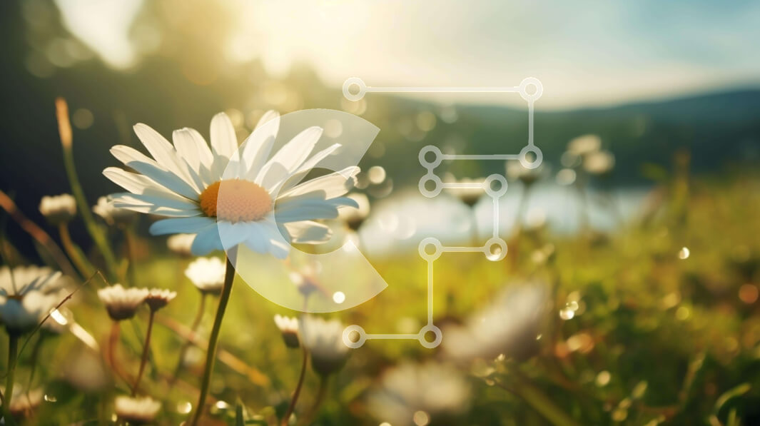 Intra Συλλεκτικό Ξύλινο Παζλ Plywood  4mm - Λευκό λουλούδι μαργαρίτας στο ειδυλλιακό λιβάδι με δέντρα και γρασίδι Σε Ξύλινο Κουτί - Διαστάσεις: 10x10 cm – 25 κομμάτια