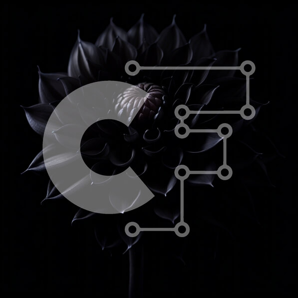 Intra Συλλεκτικό Ξύλινο Παζλ Plywood  4mm - Εκπληκτική εικόνα ενός μαύρου λουλουδιού με πέταλα που κατσαρώνουν Σε Ξύλινο Κουτί - Διαστάσεις: 10x10 cm – 25 κομμάτια