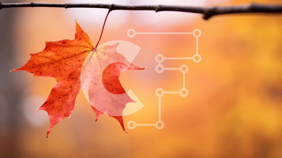 Intra Συλλεκτικό Ξύλινο Παζλ Plywood  4mm - Κόκκινο φύλλο σφενδάμου την εποχή του φθινοπώρου Σε Ξύλινο Κουτί - Διαστάσεις: 10x10 cm – 25 κομμάτια