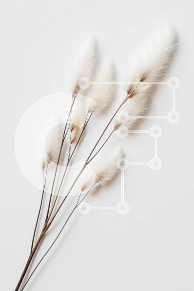 Σετ των 2 Intra Συλλεκτικό Ξύλινο Παζλ Plywood  4mm - Μπουκέτο με λευκό φτερωτό γρασίδι για διακόσμηση σπιτιού ή γραφείου Σε Ξύλινο Κουτί - Διαστάσεις: 10x10 cm – 25 κομμάτια