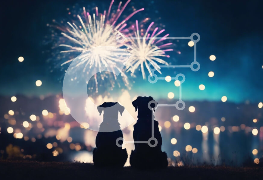 Intra Συλλεκτικό Ξύλινο Παζλ Plywood  4mm - Σκυλιά που παρακολουθούν πυροτεχνήματα σε έναν λόφο Σε Ξύλινο Κουτί - Διαστάσεις: 10x10 cm – 25 κομμάτια