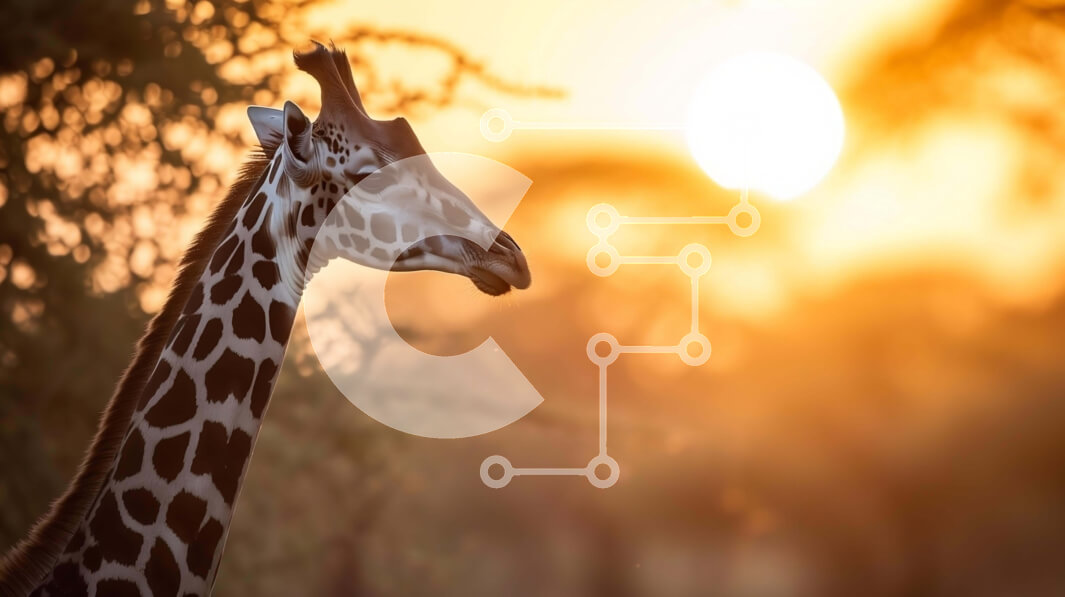 Intra Συλλεκτικό Ξύλινο Παζλ Plywood  4mm - Καμηλοπάρδαλη στο ηλιοβασίλεμα με τα δέντρα Σε Ξύλινο Κουτί - Διαστάσεις: 10x10 cm – 25 κομμάτια