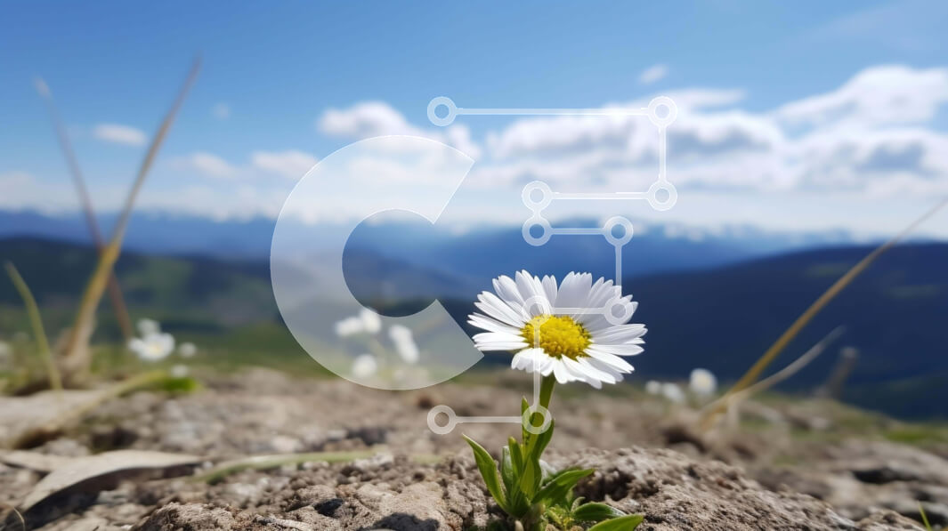 Intra Συλλεκτικό Ξύλινο Παζλ Plywood  4mm - Λευκή Μαργαρίτα με βουνά στο φόντο Σε Ξύλινο Κουτί - Διαστάσεις: 10x10 cm – 25 κομμάτια