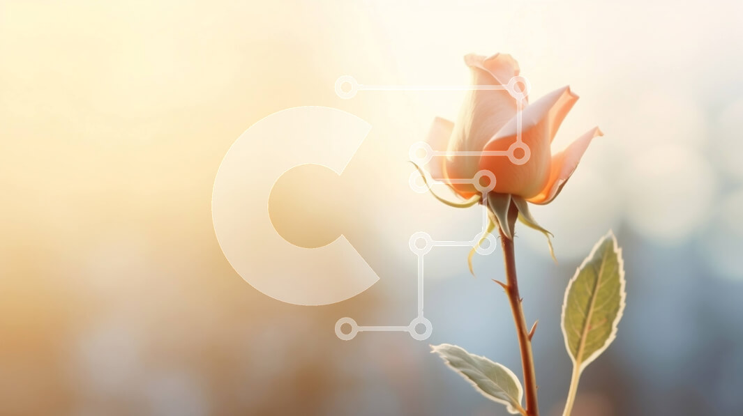 Intra Συλλεκτικό Ξύλινο Παζλ Plywood  4mm - Όμορφο ροζ τριαντάφυλλο στην άνθιση Σε Ξύλινο Κουτί - Διαστάσεις: 10x10 cm – 25 κομμάτια