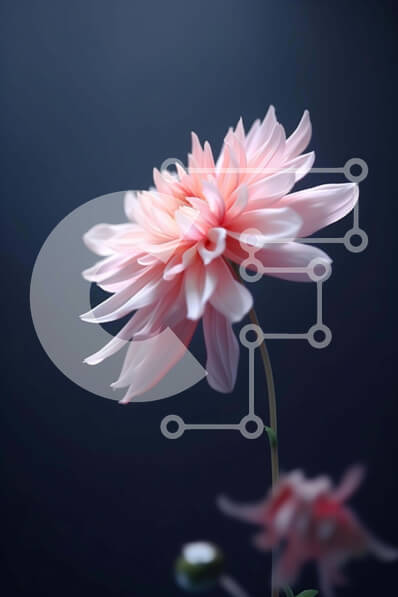 Σετ των 2 Intra Συλλεκτικό Ξύλινο Παζλ Plywood  4mm - Ροζ λουλούδι Ντάλια που επιπλέει στο νερό - αφηρημένο φόντο Σε Ξύλινο Κουτί - Διαστάσεις: 10x10 cm – 25 κομμάτια