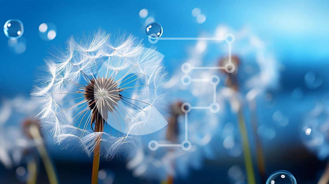 Intra Συλλεκτικό Ξύλινο Παζλ Plywood  4mm - Όμορφη εικόνα πικραλίδων με σταγόνες νερού Σε Ξύλινο Κουτί - Διαστάσεις: 10x10 cm – 25 κομμάτια