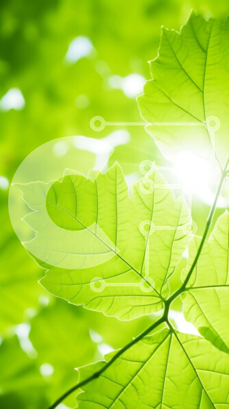 Σετ των 2 Intra Συλλεκτικό Ξύλινο Παζλ Plywood  4mm - Ζωντανό πράσινο κλαδί με φως του ήλιου Σε Ξύλινο Κουτί - Διαστάσεις: 10x10 cm – 25 κομμάτια