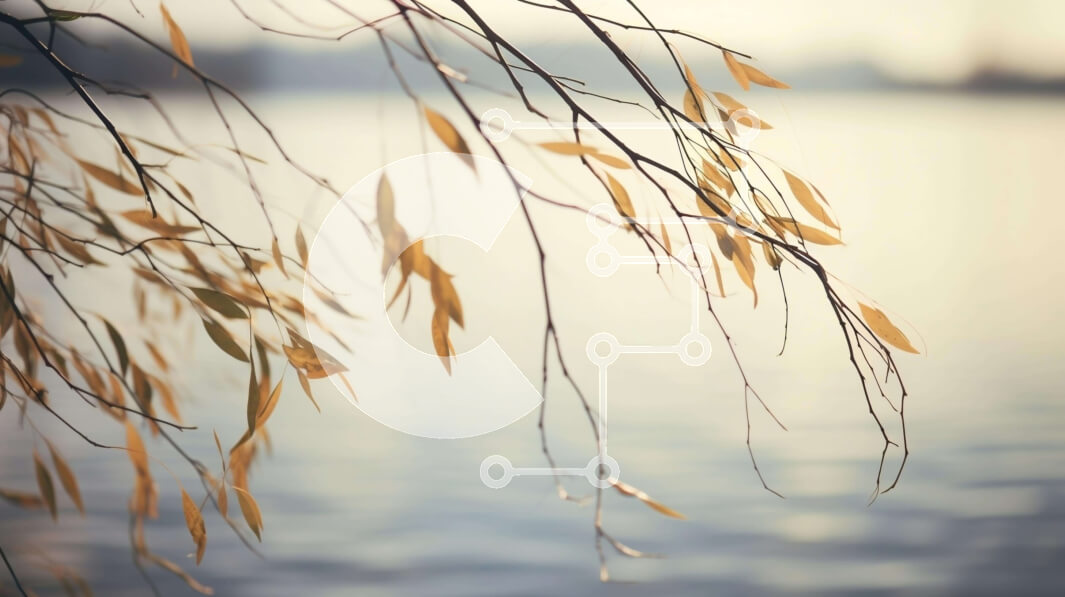 Intra Συλλεκτικό Ξύλινο Παζλ Plywood  4mm - Ήρεμο κλαδί δέντρου πάνω από το νερό Σε Ξύλινο Κουτί - Διαστάσεις: 10x10 cm – 25 κομμάτια