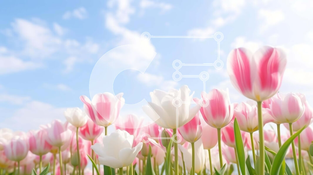 Intra Συλλεκτικό Ξύλινο Παζλ Plywood  4mm - Πεδίο με ροζ και λευκές τουλίπες με μπλε ουρανό Σε Ξύλινο Κουτί - Διαστάσεις: 10x10 cm – 25 κομμάτια