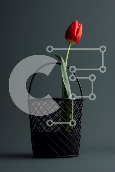 Σετ των 2 Intra Συλλεκτικό Ξύλινο Παζλ Plywood  4mm - Κόκκινο λουλούδι τουλίπας σε μαύρο καλάθι Σε Ξύλινο Κουτί - Διαστάσεις: 10x10 cm – 25 κομμάτια