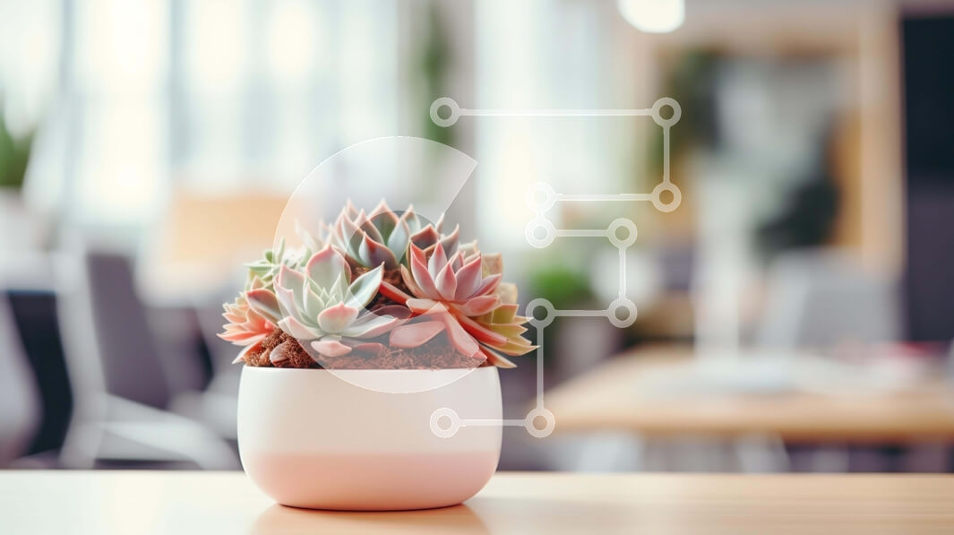 Intra Συλλεκτικό Ξύλινο Παζλ Plywood  4mm - Μικρό παχύφυτο σε γλάστρα σε τραπέζι γραφείου Σε Ξύλινο Κουτί - Διαστάσεις Puzzle: 10x10 cm – 25 κομμάτια