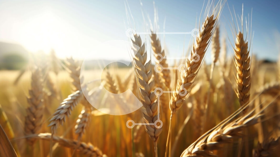 Intra Συλλεκτικό Ξύλινο Παζλ Plywood  4mm - Χρυσό Σιτάρι κάτω από τον Ηλιόλουστο Ουρανό Σε Ξύλινο Κουτί - Διαστάσεις: 10x10 cm – 25 κομμάτια