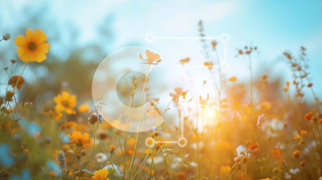 Intra Συλλεκτικό Ξύλινο Παζλ Plywood  4mm - Λιβάδι με κίτρινα και πορτοκαλί λουλούδια στη φωτεινή ηλιοφάνεια Σε Ξύλινο Κουτί - Διαστάσεις: 10x10 cm – 25 κομμάτια