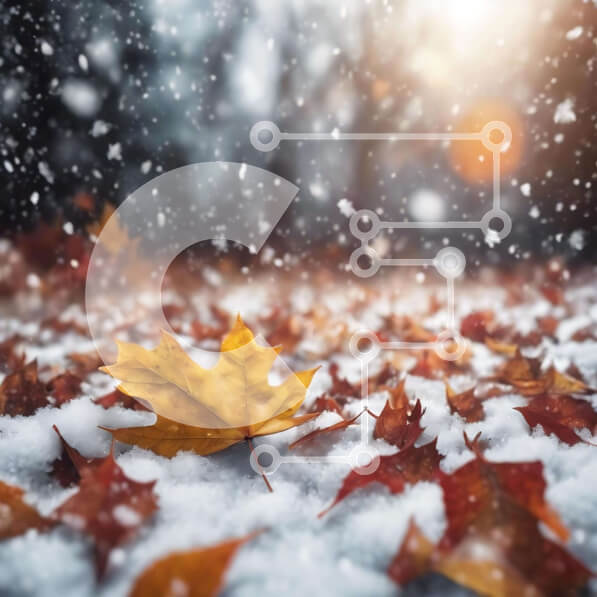 Intra Συλλεκτικό Ξύλινο Παζλ Plywood  4mm - Φθινοπωρινή σκηνή με το κίτρινο φύλλο σφενδάμου στο χιόνι Σε Ξύλινο Κουτί - Διαστάσεις: 10x10 cm – 25 κομμάτια