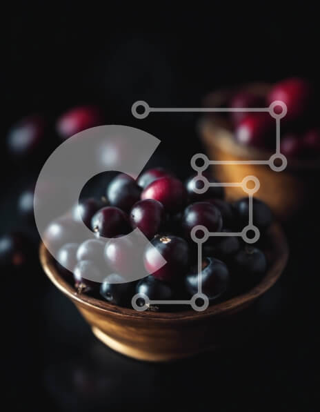 Σετ των 2 Intra Συλλεκτικό Ξύλινο Παζλ Plywood  4mm - Μπολ με φρέσκα σκούρα κόκκινα μούρα Σε Ξύλινο Κουτί - Διαστάσεις: 10x10 cm – 25 κομμάτια