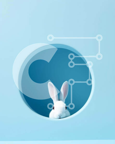 Σετ των 2 Intra Συλλεκτικό Ξύλινο Παζλ Plywood  4mm - Λευκό λαγουδάκι που κρυφοκοιτάζει από την μπλε τρύπα Σε Ξύλινο Κουτί - Διαστάσεις: 10x10 cm – 25 κομμάτια