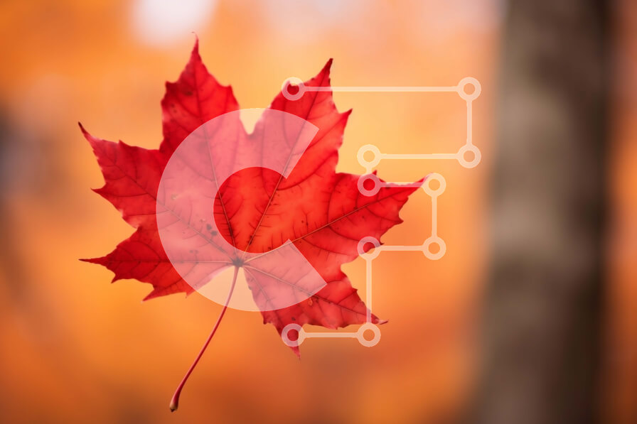 Intra Συλλεκτικό Ξύλινο Παζλ Plywood  4mm - Κόκκινο φύλλο σφενδάμου που επιπλέει στον αέρα με φόντο φυλλώματος φθινοπώρου Σε Ξύλινο Κουτί - Διαστάσεις: 10x10 cm – 25 κομμάτια