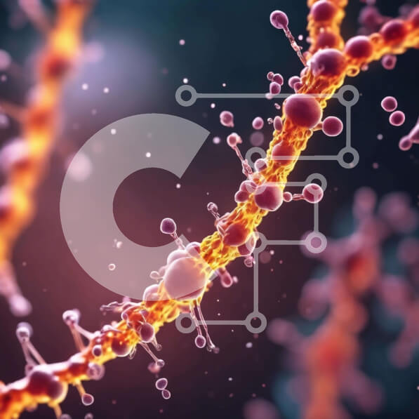 Intra Συλλεκτικό Ξύλινο Παζλ Plywood  4mm - Κοντινό πλάνο της δομής και της λειτουργίας της κυτταρικής μεμβράνης Σε Ξύλινο Κουτί - Διαστάσεις Puzzle: 10x10 cm – 25 κομμάτια