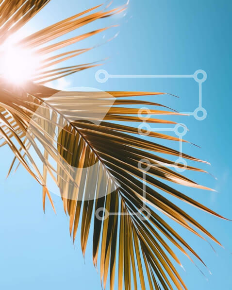 Intra Συλλεκτικό Ξύλινο Παζλ Plywood  4mm - Φύλλο φοίνικα με λαμπερή ηλιοφάνεια και μπλε ουρανό Σε Ξύλινο Κουτί - Διαστάσεις: 10x10 cm – 25 κομμάτια