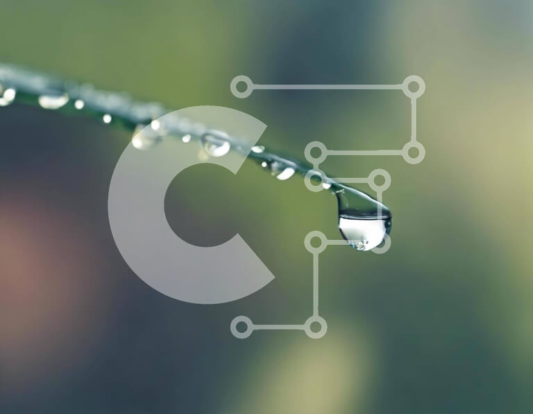 Intra Συλλεκτικό Ξύλινο Παζλ Plywood  4mm - Σταγόνα δροσιάς στο στέλεχος γρασιδιού Fescue Σε Ξύλινο Κουτί - Διαστάσεις: 10x10 cm – 25 κομμάτια