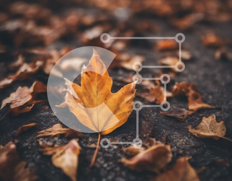 Intra Συλλεκτικό Ξύλινο Παζλ Plywood  4mm - Ενιαίο κίτρινο φύλλο του φθινοπώρου στο έδαφος Σε Ξύλινο Κουτί - Διαστάσεις: 10x10 cm – 25 κομμάτια